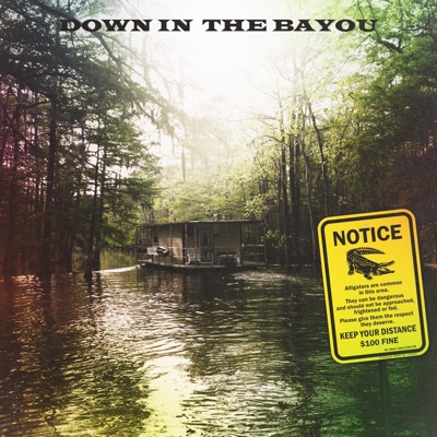 Down in the Bayou (feat. Brandon Kanion) - Single