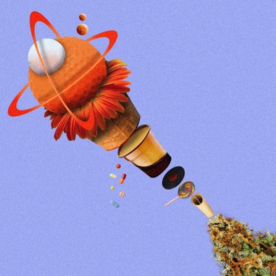 NAVICELLA FREESTYLE - Single