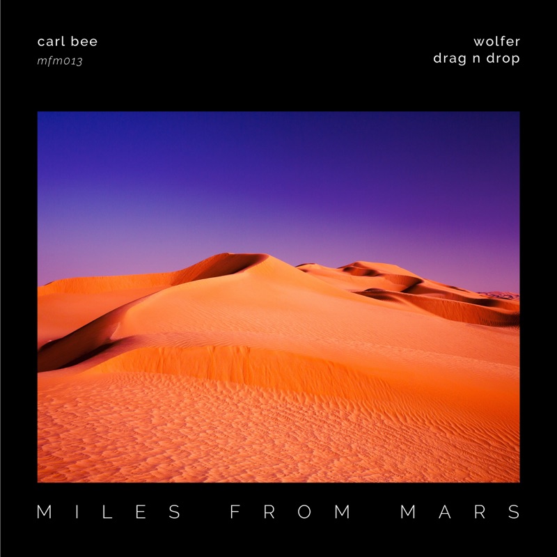 Album art for Wolfer