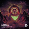 Destiny (Ranqz & Joey Steel Remix) [feat. Kris Kiss] - Single