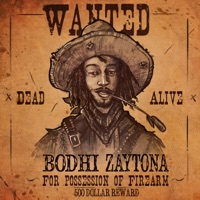 Holster - Single - Bodhi Z