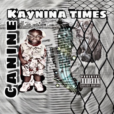 Kaynina Times