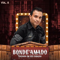 Tocando em Seu Coração, Vol. 8 - Bonde do Amado