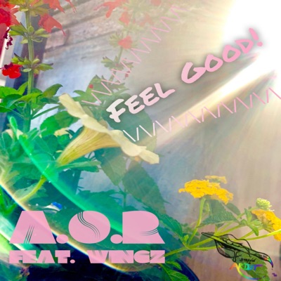 Feel Good (feat. Wingz) - Single