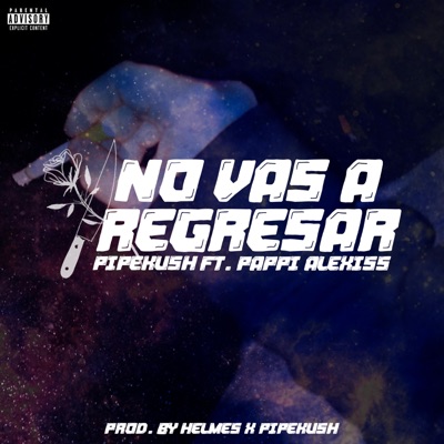 No Vas a Regresar (feat. Pappi Alexiss) - Single