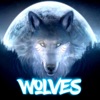 Wolves - Single
