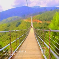 Path to Serenity - Single - astro.traveler