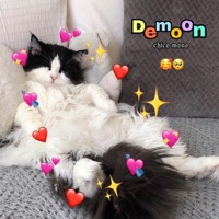 Chico mono - Single - Demoon