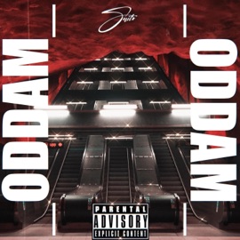 Oddam Saito the Artist