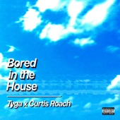 Bored in the House artwork