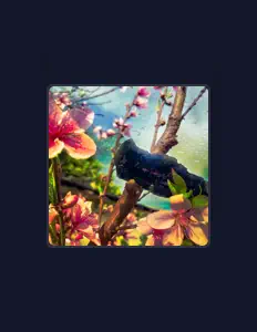 Lydian Arrowを聴いたり、ミュージックビデオを鑑賞したり、経歴やツアー日程などを確認したりしましょう！