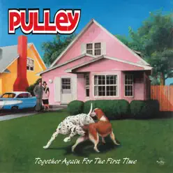 Together Again for the First Time - Pulley