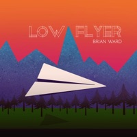 Low Flyer - Brian Ward