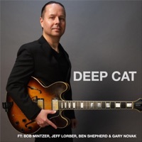 Deep Cat (feat. Bob Mintzer, Jeff Lorber, Ben Shepherd & Gary Novak) - Single - Ron Bosse