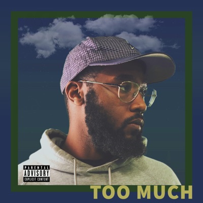 Too Much - Single