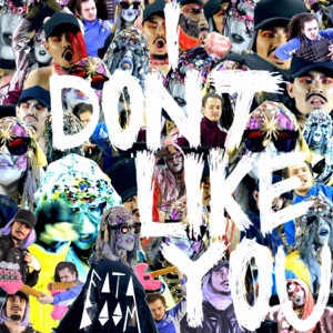 I Don't Like You - Single