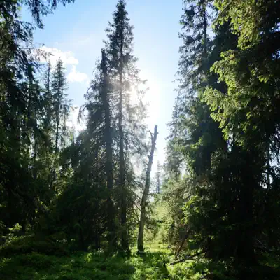 Listen to Routine - Single by Logic Levls