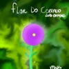 Flor do Cerrado - Single