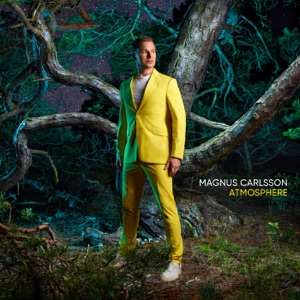 Magnus Carlsson - Am I In Love - Line Dance Musique