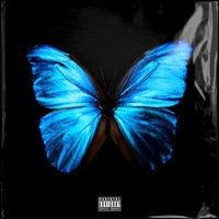 Sterilis Amator - Single - UYIHLO