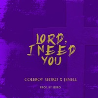 Lord I Need You - Single - Coleboy Sedro