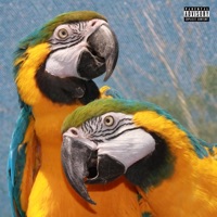 Colors - Single - afrochale