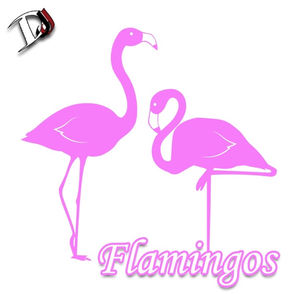 Flamingos