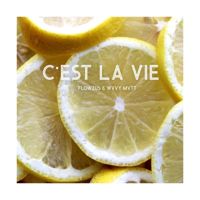 C'est la Vie - Single