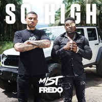 So High (feat. Fredo) [Skinz Remix] - Single - MIST