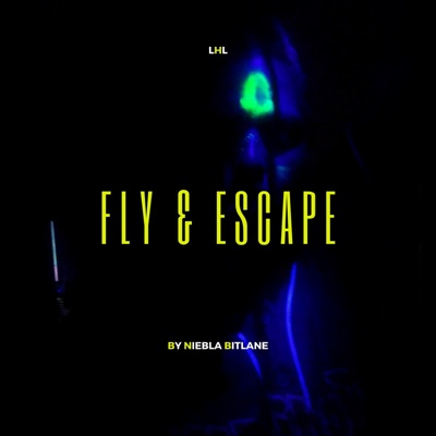 Fly & Escape - Single