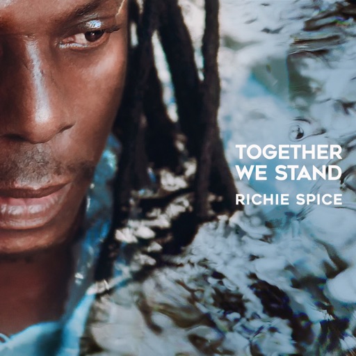 Artwork for Together We Stand
