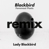 Blackbird (Foremost Poets Remix) artwork