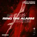 Ring The Alarm