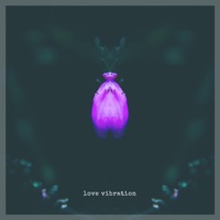 Love Vibration - Single - Kyle Devine