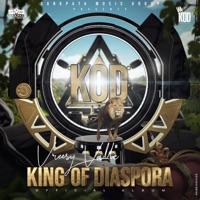 King of Diaspora - Vreezy Ville