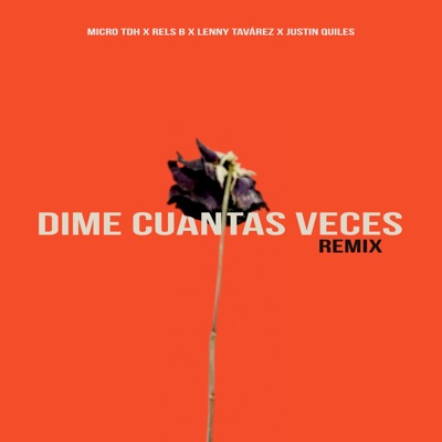 Dime Cuantas Veces (Feat. Justin Quiles) [Remix] - Single