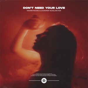 Don't Need Your Love - Single