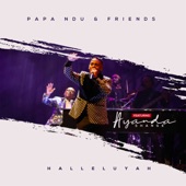 Halleluyah (Live) [feat. Ayanda Shange] artwork