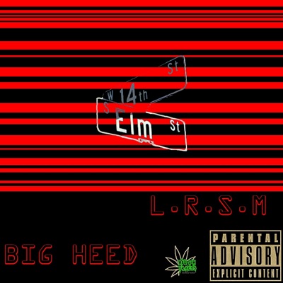 L.R.S.M (Lil Rock State of Mind) - Single