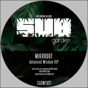 Advanced Wisdom - Single