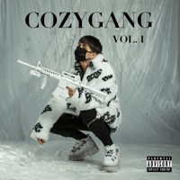 COZYGANG VOL.1 - Zame