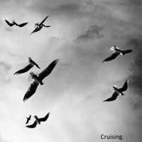 Cruising. - Single - Elyts Sounds