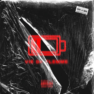 Une vie de flemme (feat. CKI) - Single
