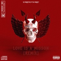 LoveIsAMission! (Remix) - Single - Sorrynotsorry!