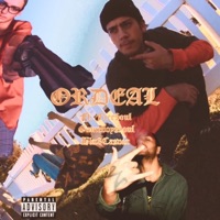 ORDEAL (feat. Free$oul, gameboysoül & Blu3 Casper) - Single - K-Damz