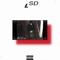 LSD (feat. Zay.One) - Single - Lilshnee