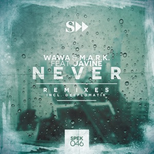 Never - Single