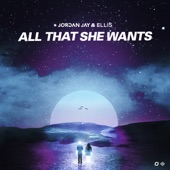 All That She Wants artwork