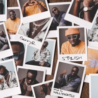 Stylish - Single - Berryr