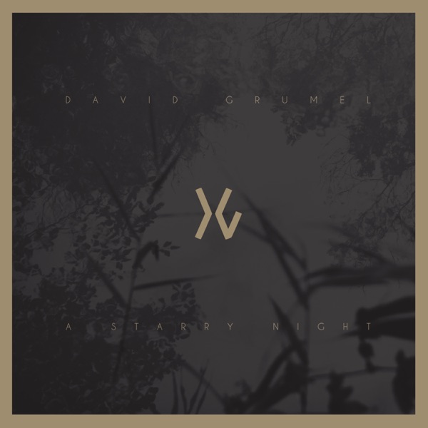 A Starry Night (Single)